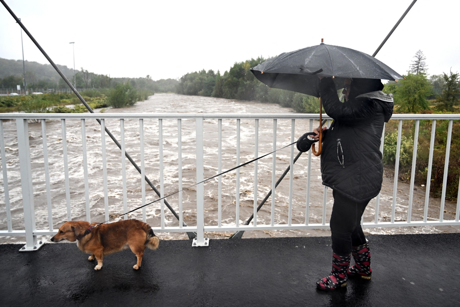 Spain's fourth storm in 12 days will see widespread rain continue