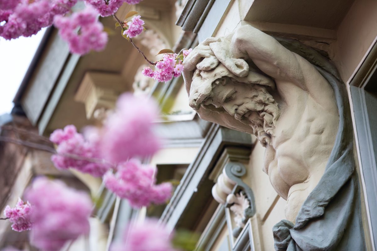 Inside Germany: Hard-hitting tariffs, cherry blossoms and spring time festivities