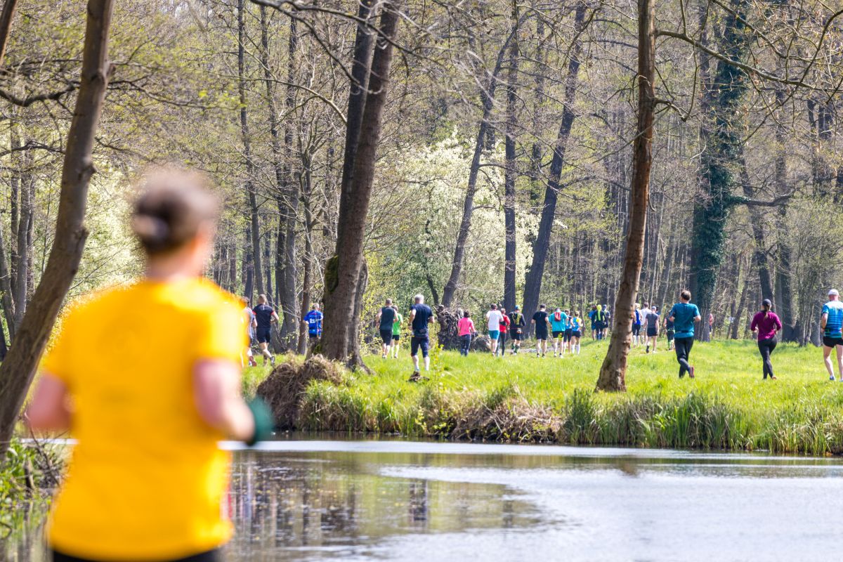 Where to run a marathon in Germany in 2025