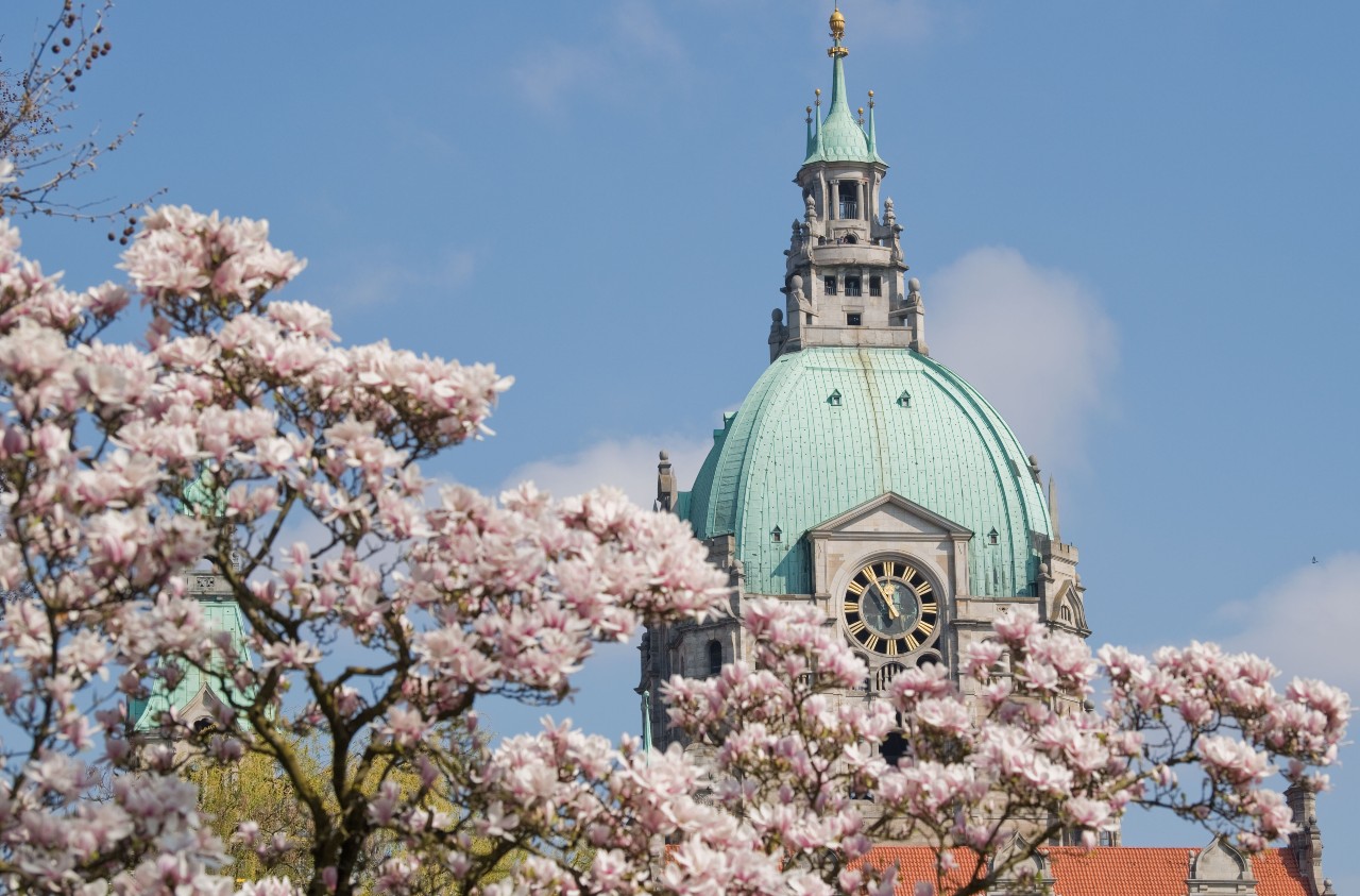 Everything that changes in Germany in May 2025