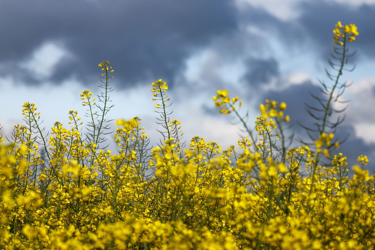 What the weather forecast predicts over Easter weekend in Germany