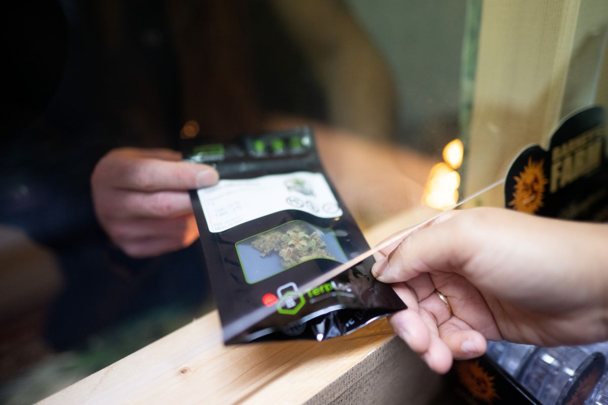 One year on: What does the future hold for Germany’s cannabis legalisation law?