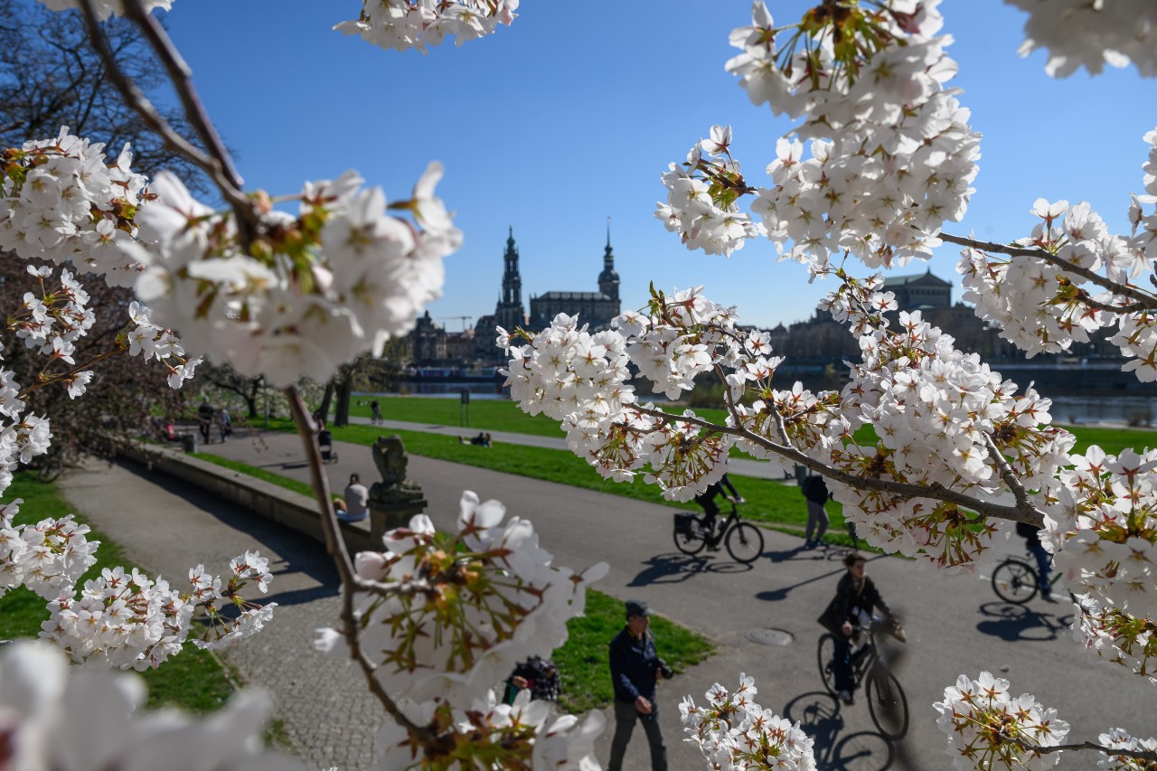 Germany set for soaring temperatures ahead of frosty weekend