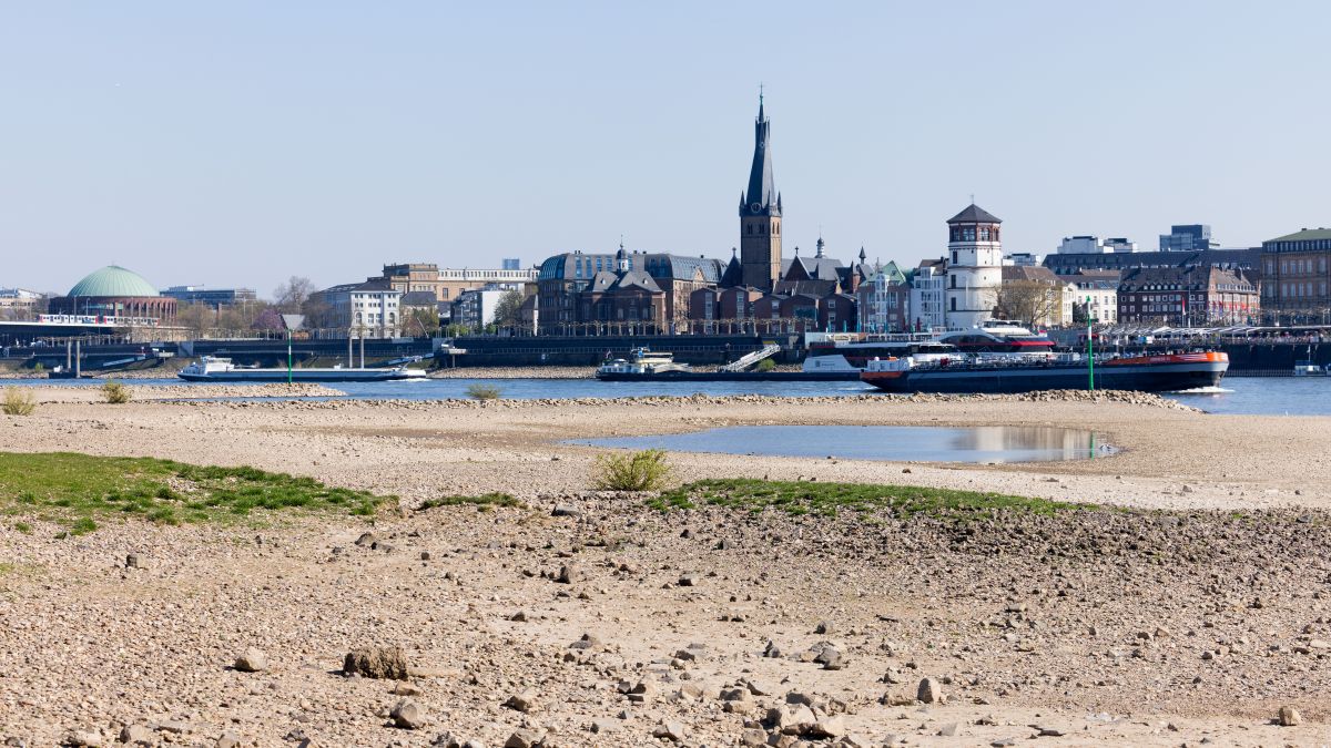 Today in Germany: A roundup of the latest news on Wednesday