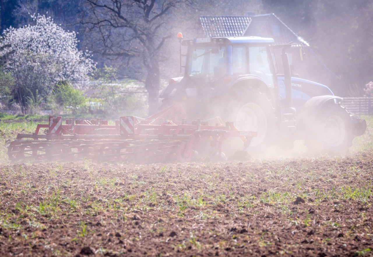 Germany sees ‘worrying’ record dry spell in early 2025