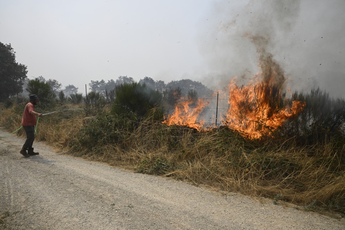 Incendi boschivi in Spagna.