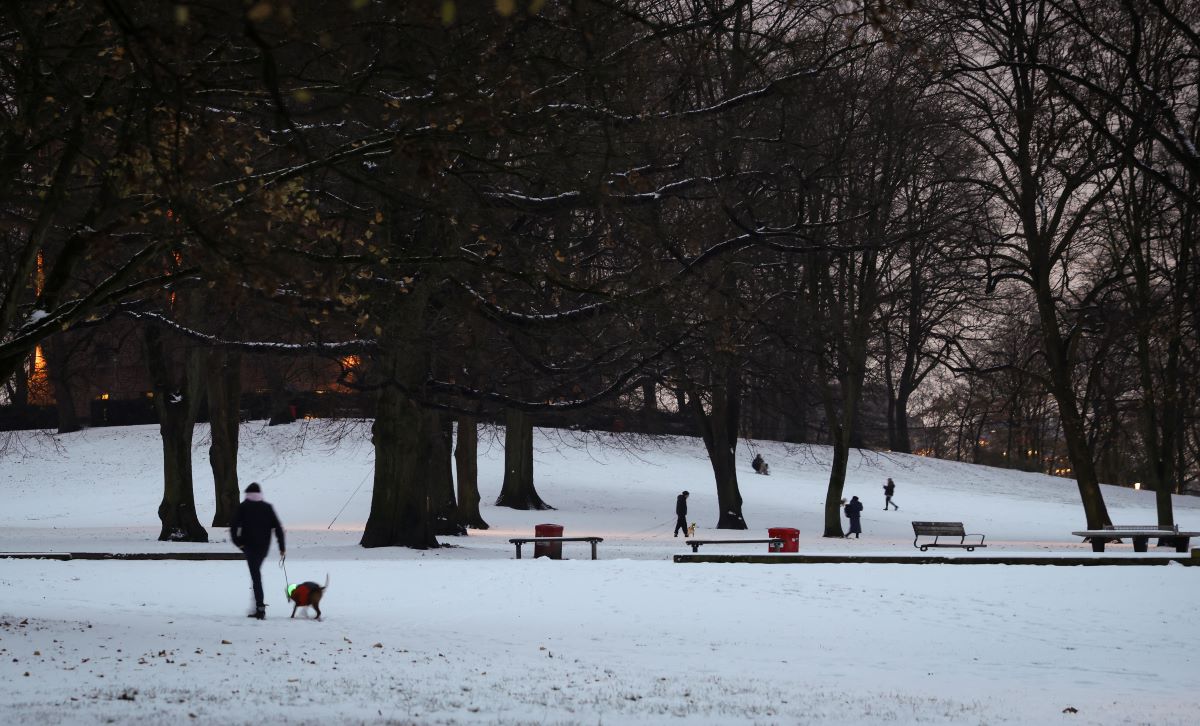 People walk in the park in Hamburg in the snow