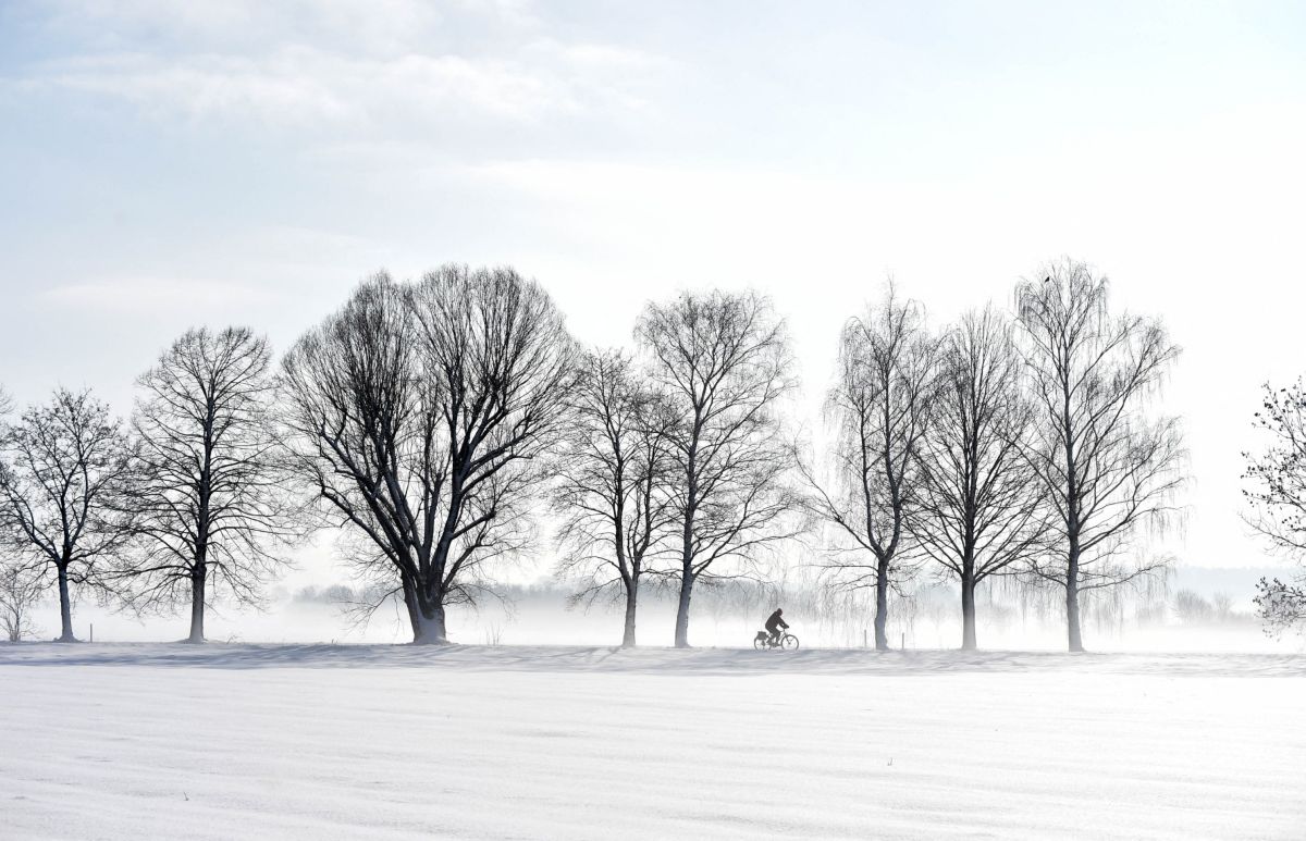 A bicyclist rides on a snow covered road between trees.
