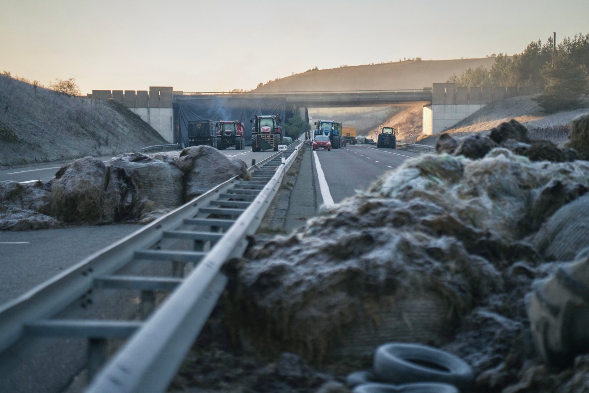 of farmers who protest the culling of cows due to a skin disease on the A75 motorway in Severac d'Aveyron, central France
