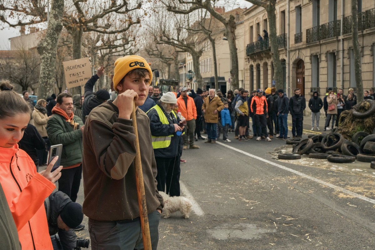 slaughtering cows with Contagious Nodular Dermatosis (CND) in Millau, central France