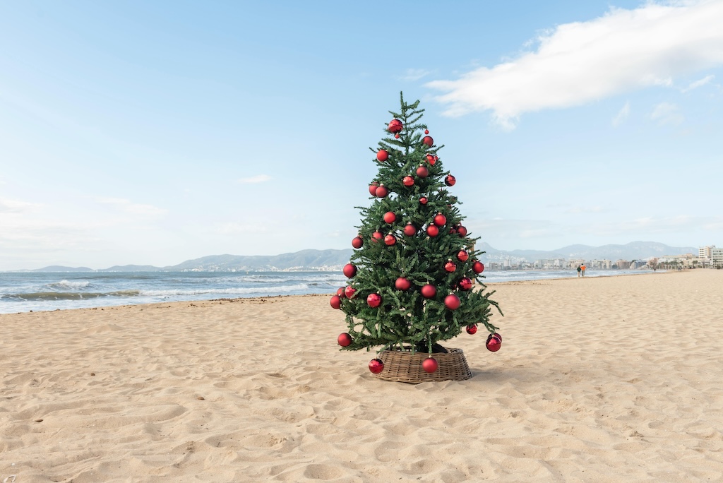 Christmas on the beach. 