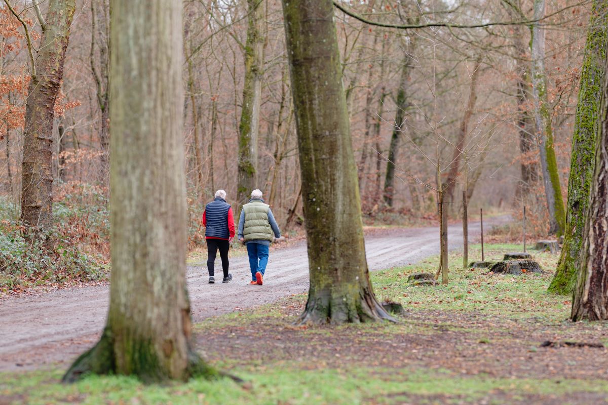 Two men walking through a forest in Baden-Württemberg