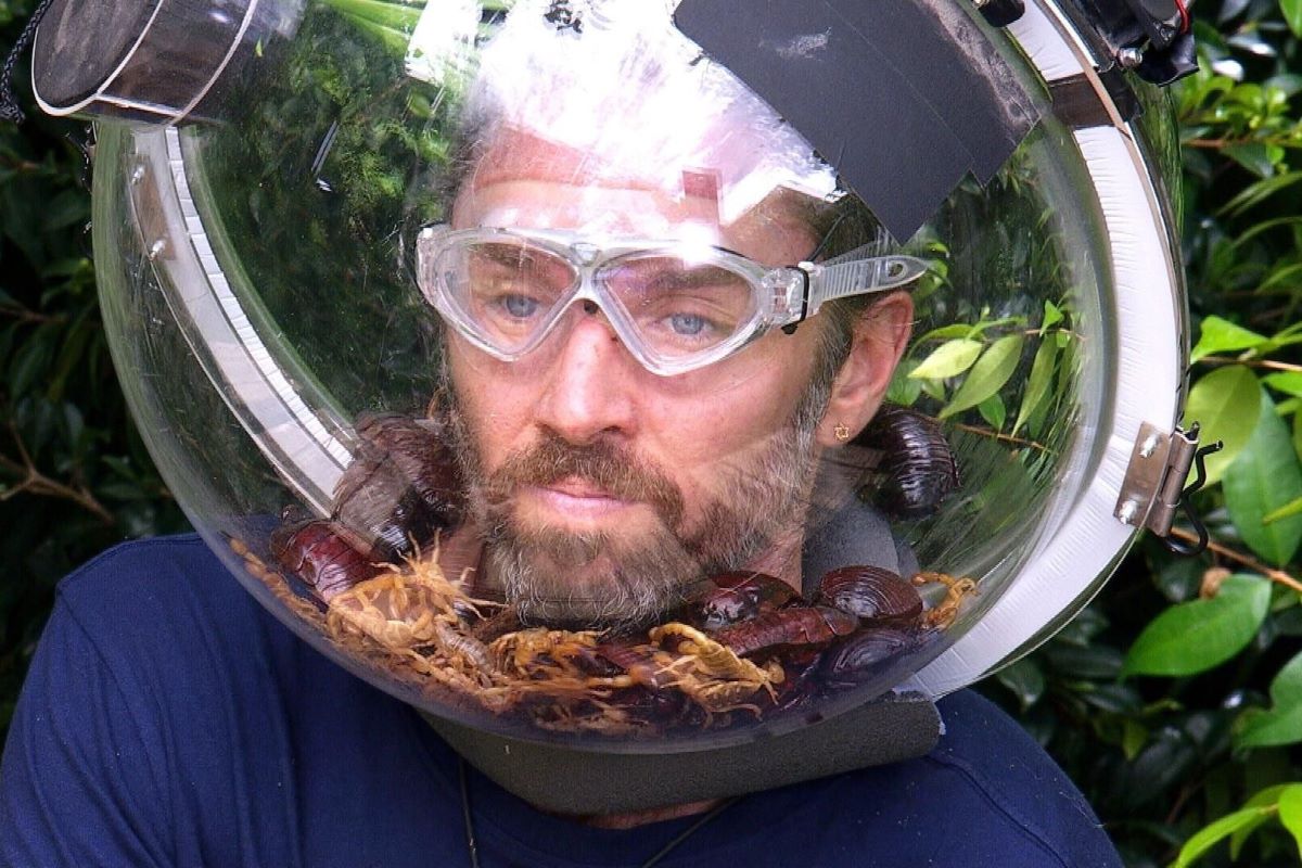 Gil Ofarim wearing a glass bowl filled with insects on his head