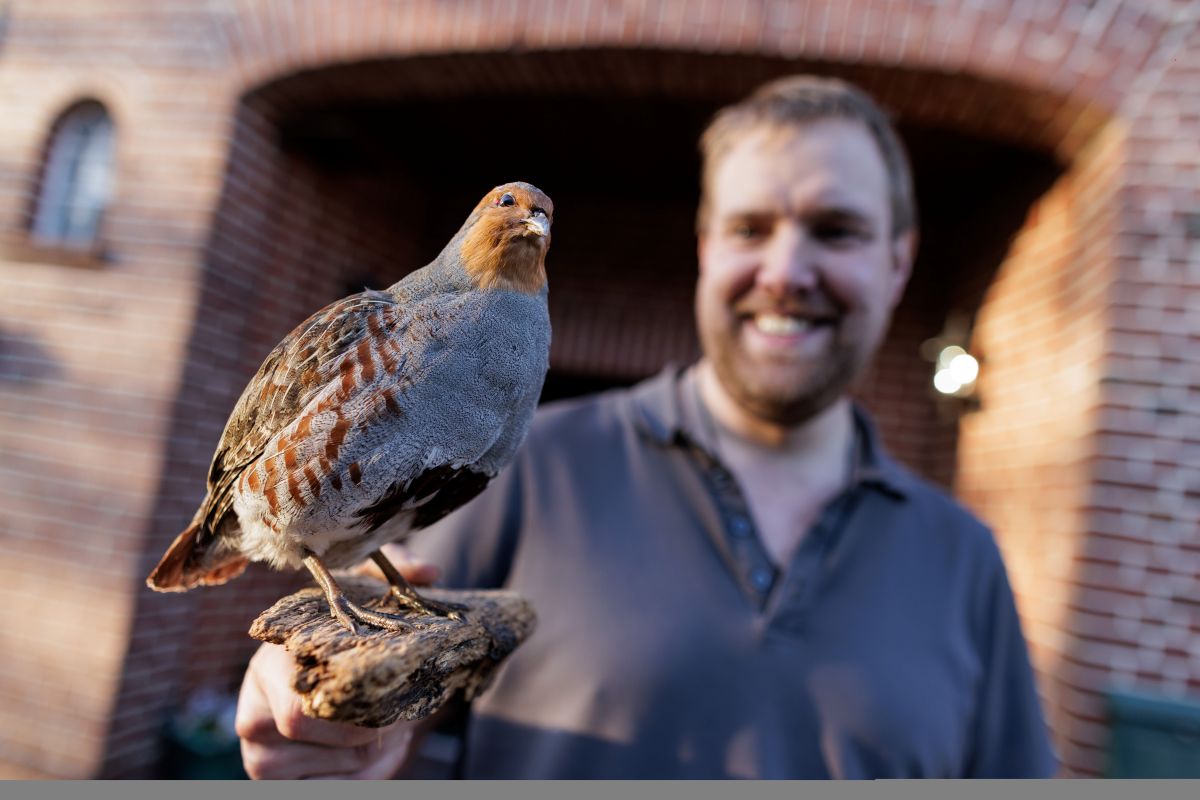 A man grinning holds up a partridge.