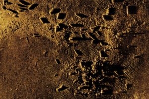 using an SAS (Synthetic aperture sonar) system, during the AL648 ALKOR expedition in the Baltic Sea.