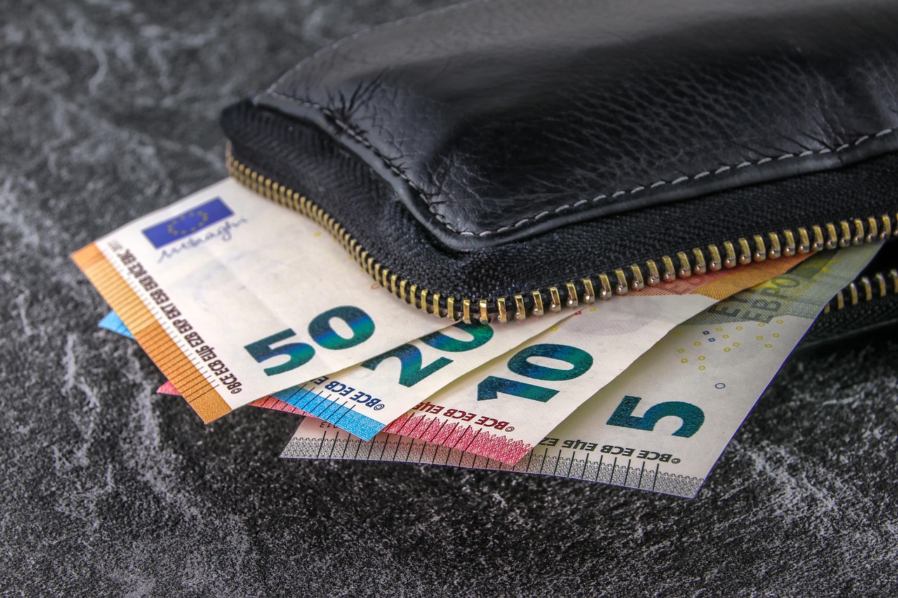 A wallet with Euros