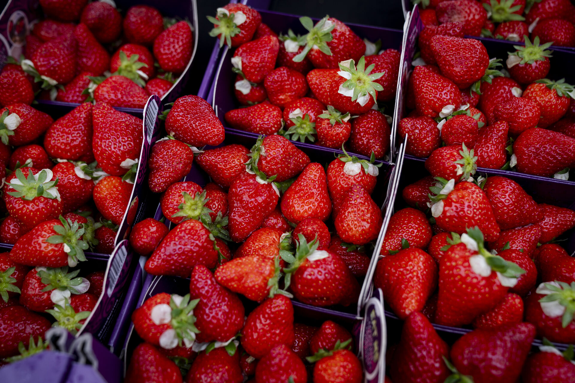 danish strawberries.
