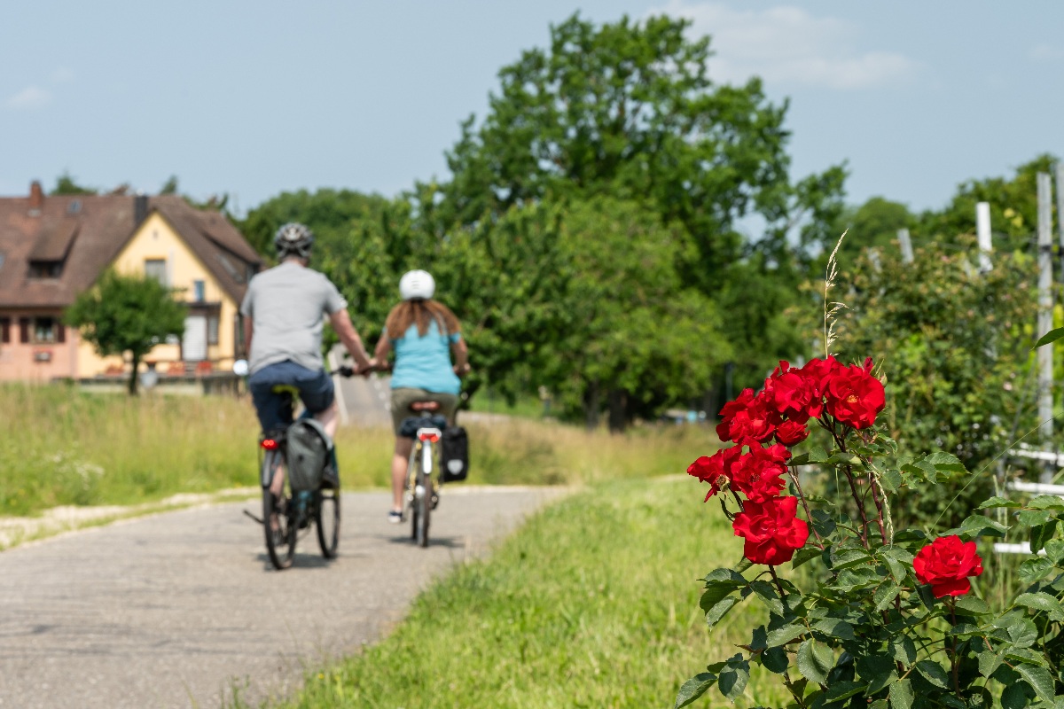 People ride bikes in Reichenau.