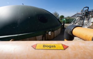 The label 'Biogas' is seen on a pipeline of a fermentation plant in Bermaringen, southwestern Germany