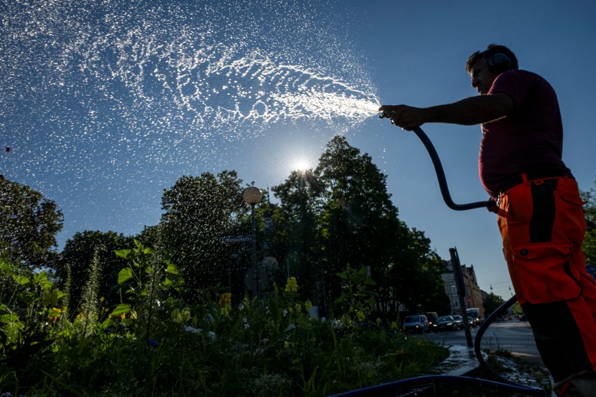 A man in a red shirt sprays a hose over a flower bed in Munich.