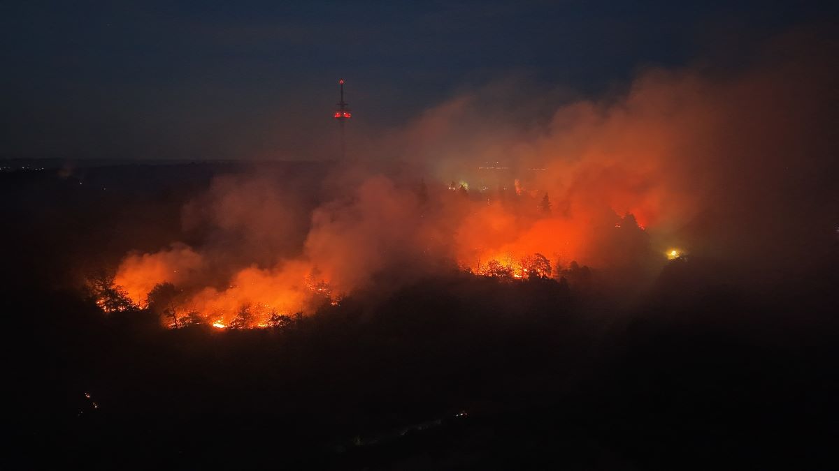 Flames are blazing in the forest in front of the Bad Kreuznach telecommunications tower on the Schanzenkopf, located in a nature reserve in the Bad Kreuznach district. 