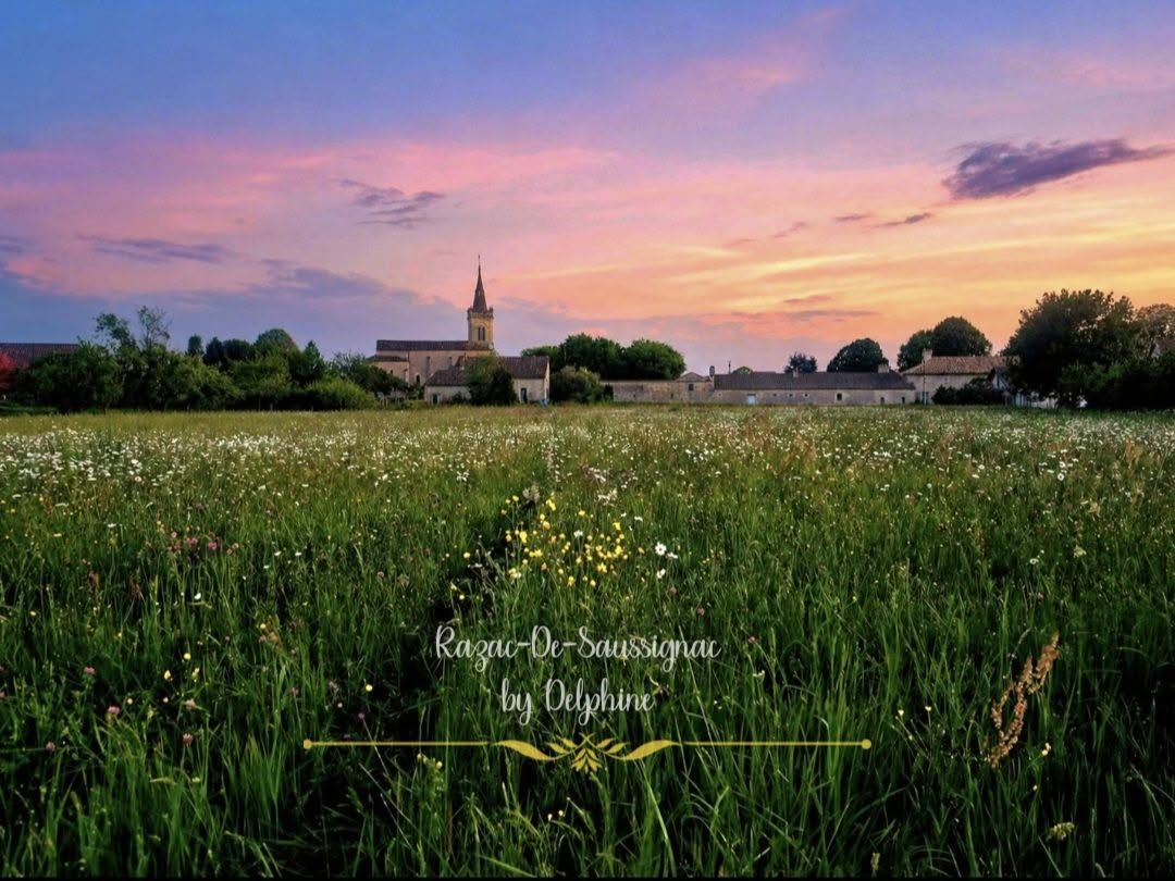 During an evening walk, I captured the village church of Razac-de-Saussignac overlooking fields in bloom. A peaceful Dordogne evening painted with the colours of sunset. By Delphine Lemasson