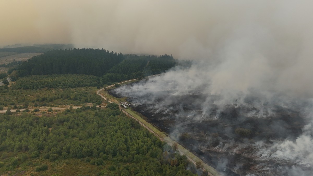 A swath of forest is smoking up to a road where firefighters have held the flames.