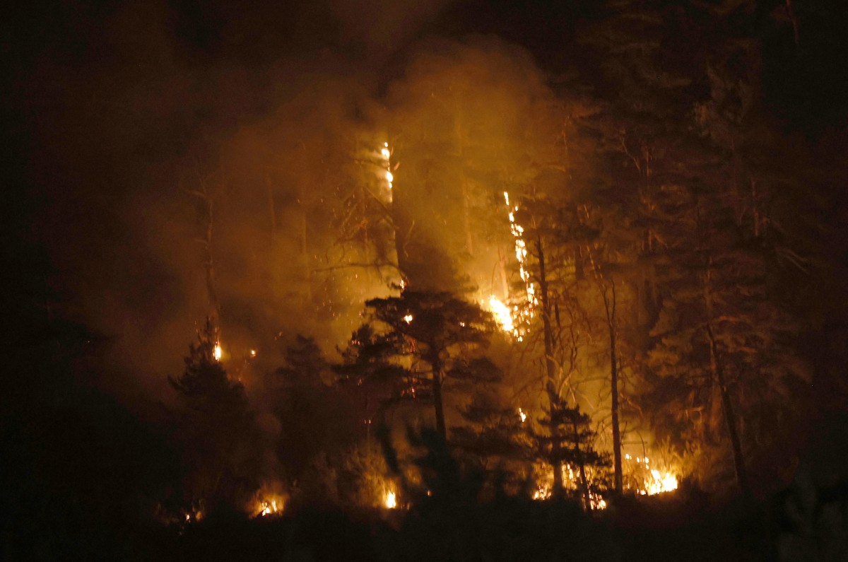 Burning trees in wildfire.