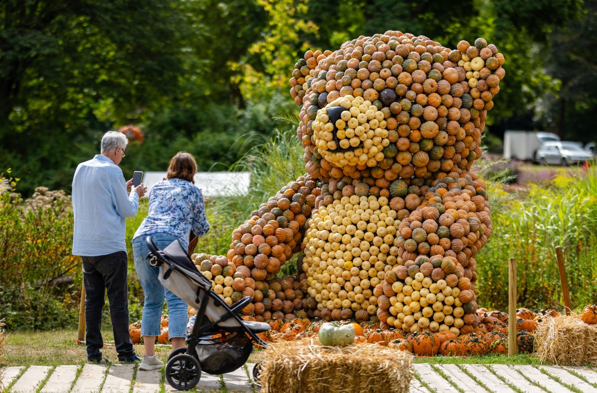 Two visitors to the Blühendes Barock take photos of a pumpkin teddy bear by artist Pit Ruge before the opening of the “Let’s Play” pumpkin exhibition.