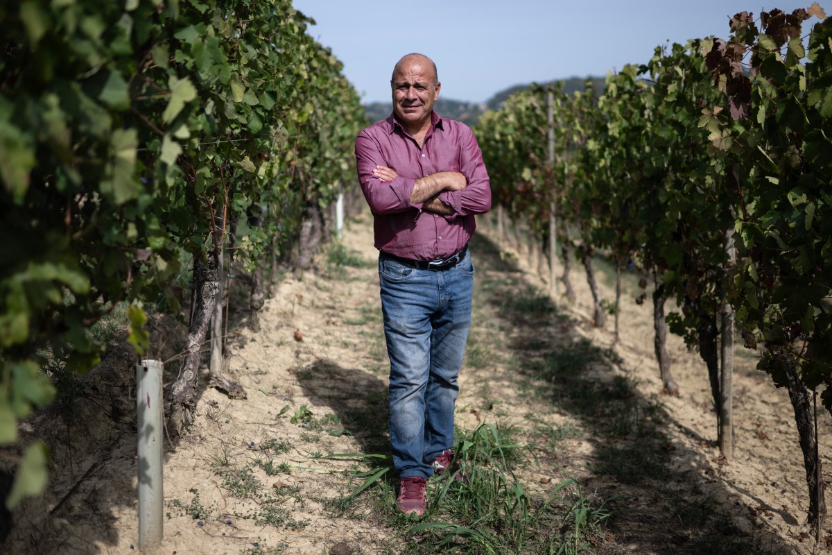 Filippo Mobrici, president of the Barbera dAsti and Monferrato Wines Consortium poses in a vineyard of Agliano Terme in the Monferrato countryside, near Asti, northwestern Italy